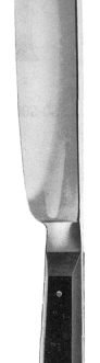 Walb Post Mortem Knife 31cm, Blade size 170mm