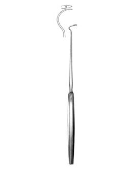 Tonsil
