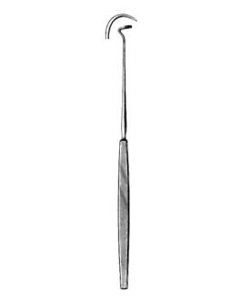 Tonsil