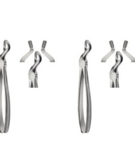 Tooth Extracting Forceps