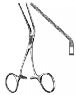 Cardiovascular