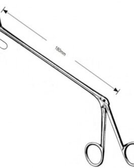 Neuro Surgery