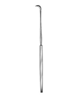 Tonsil