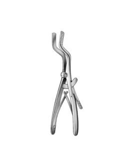 Oral Instruments