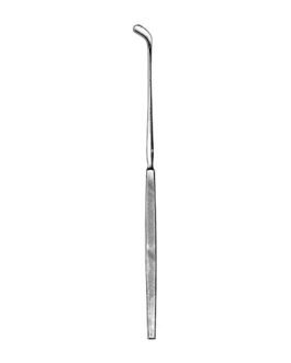 Tonsil