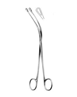 Gall Bladder