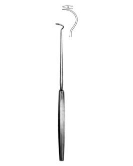 Tonsil