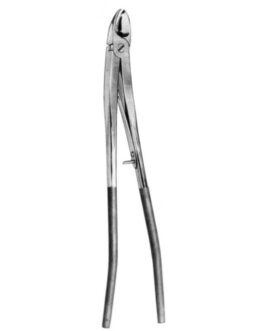 Thoracic And Lung Surgery
