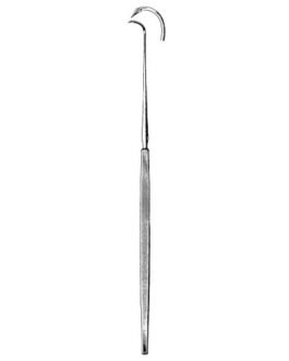 Tonsil