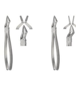 Tooth Extracting Forceps