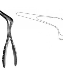 Rhinology