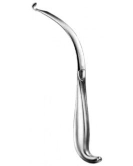 Maxillo Facial