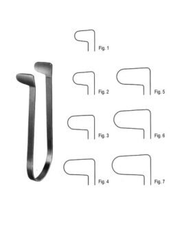 Rhinology