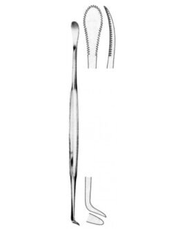 Tonsil