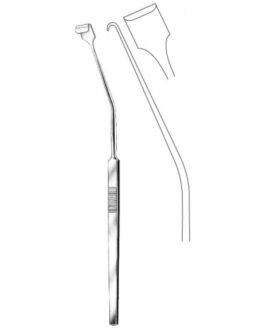 Tonsil