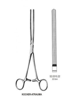 Intestinal And Stomach