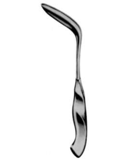 Rectum