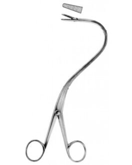 Gall Bladder
