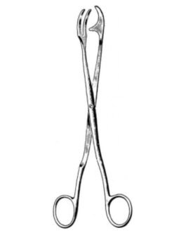 Sterilization