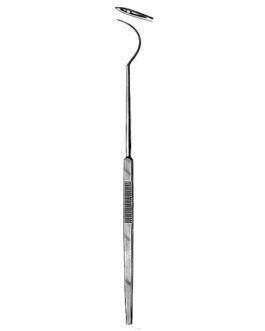 Tonsil