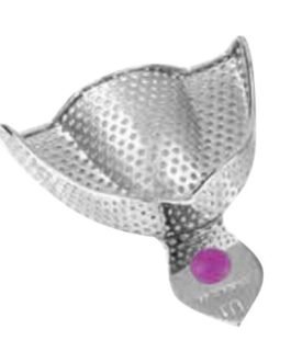 Impression Trays