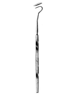 Tonsil