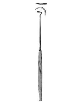 Tonsil