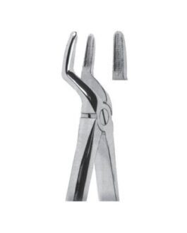 Tooth Extracting Forceps