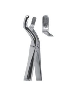Tooth Extracting Forceps