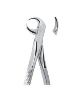 Tooth Extracting Forceps