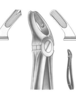 Tooth Extracting Forceps