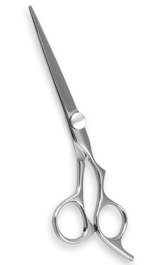 Professional Hair Cutting Scissors