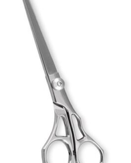 Professional Hair Cutting Scissors