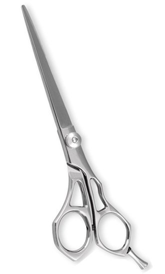 Professional Hair Cutting Scissors