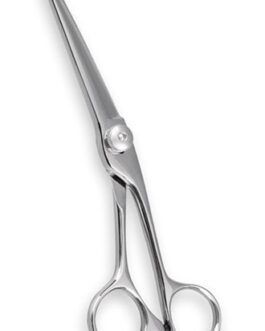 Professional Hair Cutting Scissors