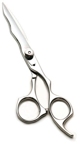 Professional Hair Cutting Scissors