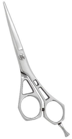 Professional Hair Cutting Scissors