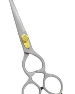 Professional Hair Cutting Scissors