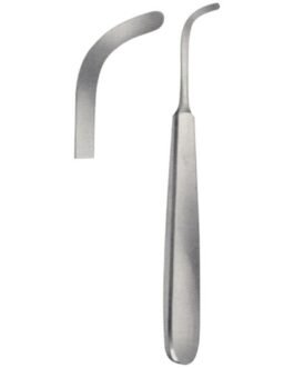 Raspatories, Files, Chisel