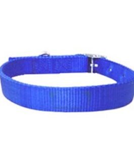 Dog Collars