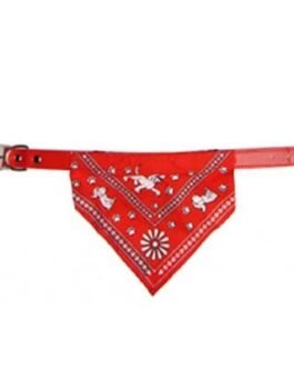Dog Collars
