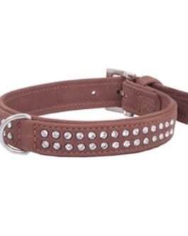 Dog Collars