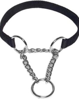 Dog Collars