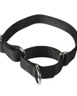 Dog Collars