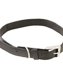Dog Collars