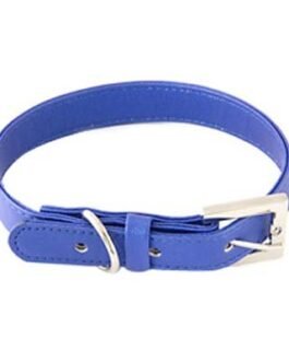 Dog Collars