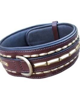 Dog Collars