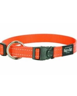Dog Collars