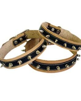Dog Collars