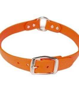 Dog Collars